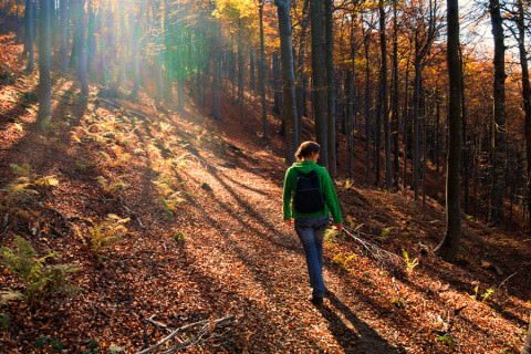 Een vrouw loopt door het bos in Vijlen Zuid Limburg
